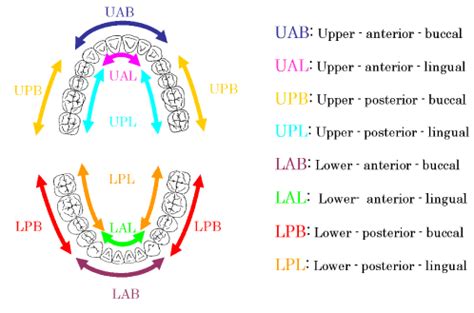 Examination of site specificity in oral cavity of cariogenic bacteria ...