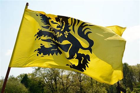 60+ Flemish Flag Stock Photos, Pictures & Royalty-Free Images - iStock