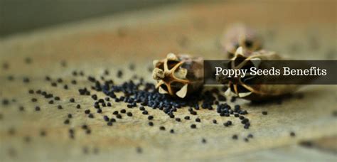 6 Poppy Seeds Benefits You Ought To Know About