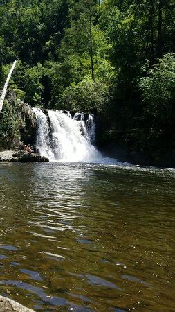 Abrams Falls Trail (Great Smoky Mountains National Park) - 2020 All You ...