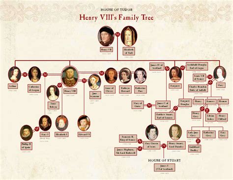 Tudor Family Tree | Queen elizabeth family tree, Family tree, Henry viii family tree