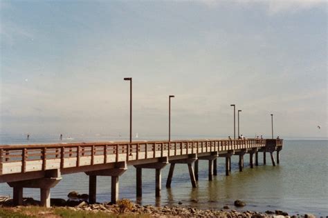 Oyster.Point.Pier_2 - Pier Fishing in California