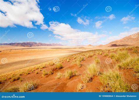 Namib desert landscape stock photo. Image of namibian - 159880864