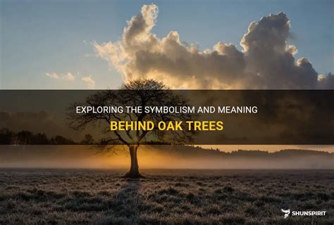 Exploring The Symbolism And Meaning Behind Oak Trees | ShunSpirit