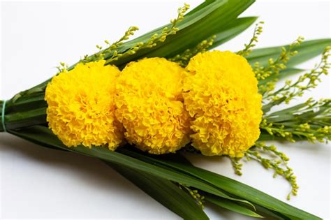 Premium Photo | Bouquet beautiful yellow marigold flowers isolated on ...