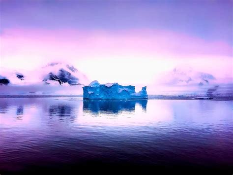 penguins, iceberg, polar, nature, ice, cold, arctic, snow, antarctica, north pole, north | Pikist