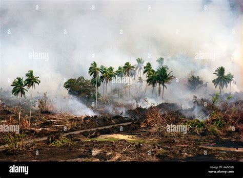 Tsunami Banda Aceh Sumatra Indonesia 2004 Stock Photo: 4120666 - Alamy