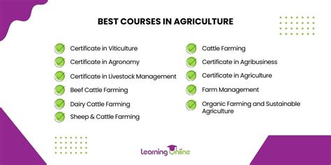 What are the best courses in agriculture? – My Learning Online