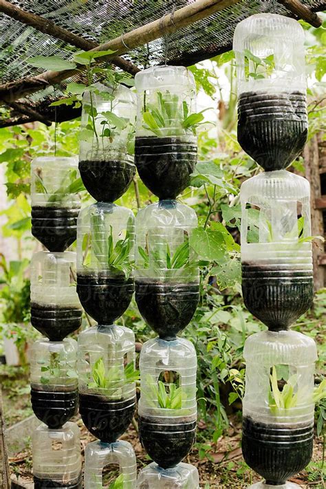 How To Reuse Plastic Bottles For Gardening - Engineering Discoveries | Garden ideas with plastic ...