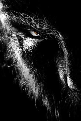 The Wolfman iPhone wallpaper | Click Here for more Wolfman a… | Flickr