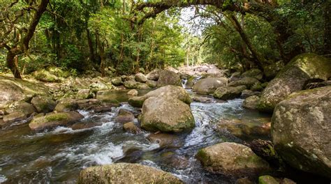 Visit Mossman Gorge: 2024 Travel Guide for Mossman Gorge, Queensland ...