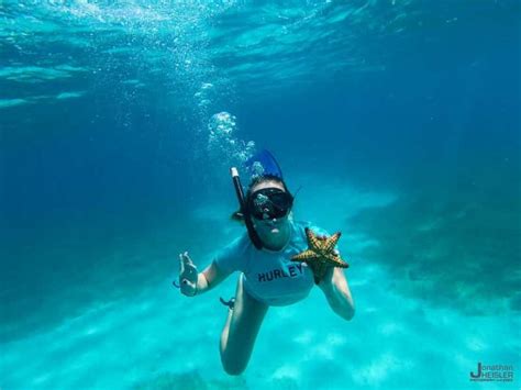 The Best Snorkeling In Punta Cana: Catalonia Royal Bavaro – DesertDivers