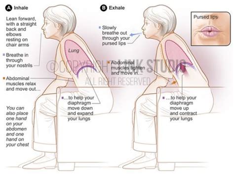 Pursed Lip Breathing Technique | Muscle relaxer, Abdominal muscles, Breath in breath out