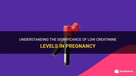Understanding The Significance Of Low Creatinine Levels In Pregnancy | ShunChild