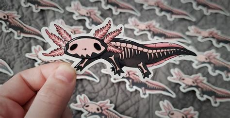 Axolotl Skeleton Sticker | Etsy