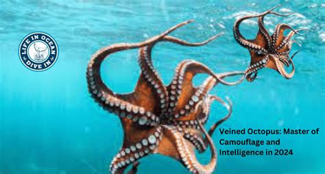 Veined Octopus: Master of Camouflage and Intelligence in 2024 - Life in ...