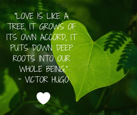 Love and trees! | Tree quotes, Real friendship quotes, Plants quotes