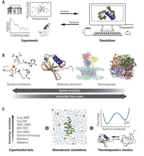 Biophysical experiments and biomolecular simulations: A perfect match? | Science