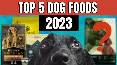 Top 5 Kibble Brands: Dog Food Review (2023) - YouTube