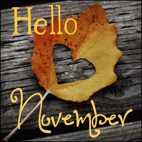 Good morning and welcome to November. What´s not to love about November? Fall season = pumpkin ...