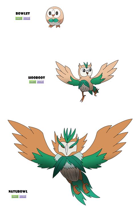 Rowlet Evolution! by KArtsman16 on DeviantArt