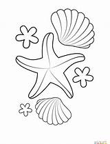 Printable Starfish Coloring Pages sketch template