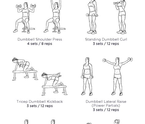 Arm Exercises With Weights For Seniors | Exercise