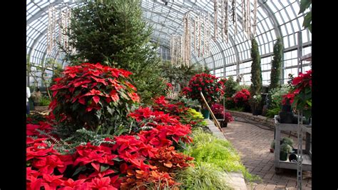 Garfield Park Conservatory explores nature’s unseen connections in new holiday flower show - YouTube