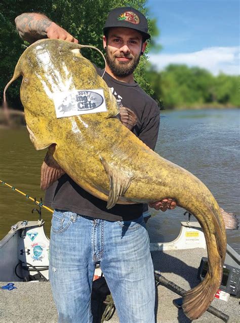 Angler Ties Own Record for Minnesota Flathead Catfish - Coastal Angler & The Angler Magazine