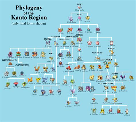 Phylogeny of Pokemon (Kanto) by akailin on DeviantArt