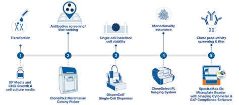 Cell Line Development, Single Cell Sorting