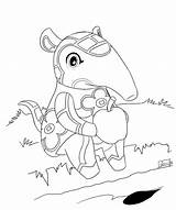Anteater Baby Coloring Page  Nation sketch template
