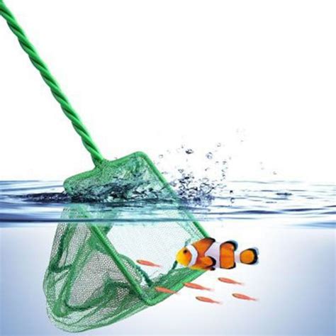 1Pc Plastic Special Net Aquarium Shrimp Small Fish Catch Net Accessory ...