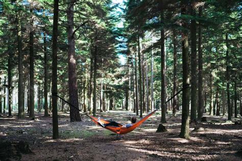 8 Best Portable Hammock Stands For Camping 2021 – Better Exploring