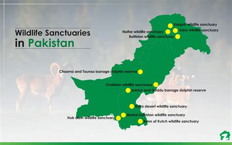 Wildlife Sanctuaries in Pakistan: Location, Species & More | Zameen Blog