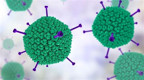 What is an adenovirus? | Live Science