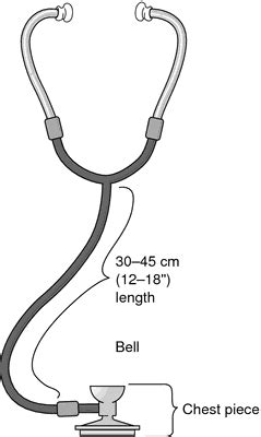 Esophageal stethoscope | definition of esophageal stethoscope by Medical dictionary