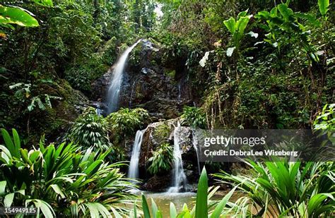 1,795 Climate Of Trinidad And Tobago Stock Photos, High-Res Pictures ...