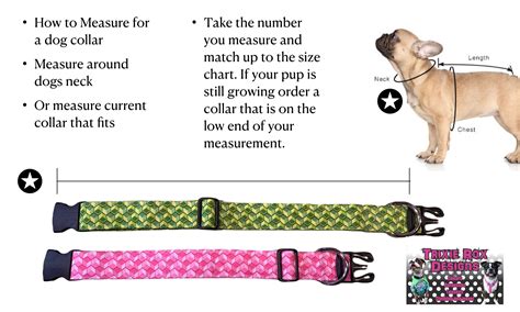 Funny Dog Collar Dog Collar Cute but Psycho Dog Collar Side | Etsy