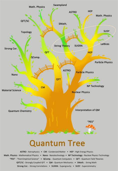 The map of high energy physics and the quantum tree taken from [2]. | Download Scientific Diagram