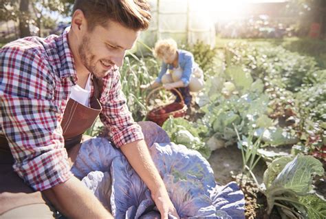 Farm Agricultural Worker - Salary, How to Become, Job Description & Best Schools