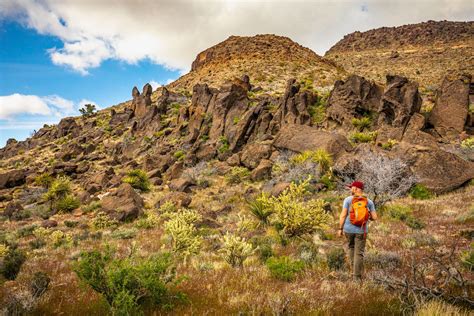 Mojave National Preserve - Adam Elliott Photography