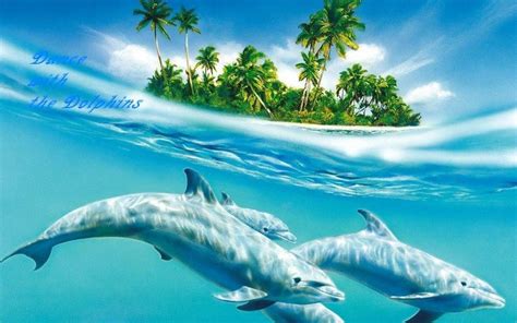 love dolphins and Orcas. Anyone got and beautiful Orca pictures ...