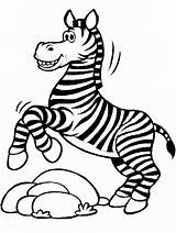 Cute Zebra Coloring Pages & Coloring Book sketch template