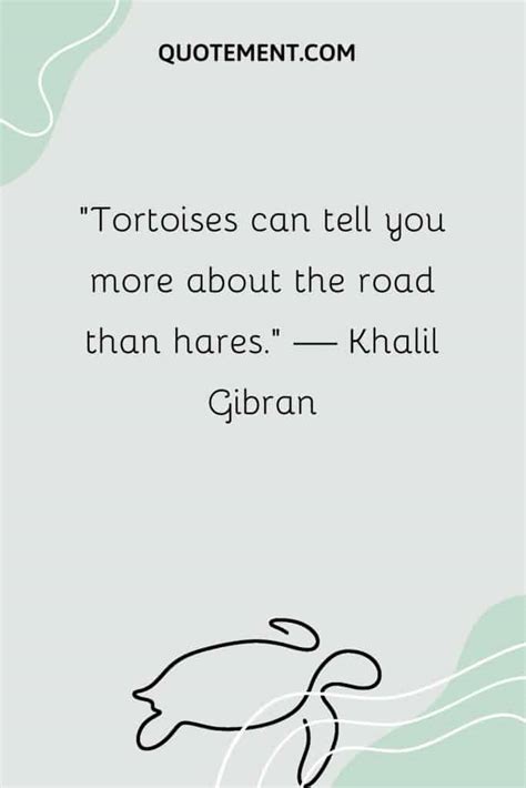 110 Turtle Quotes For Your Daily Dose Of Inspiration