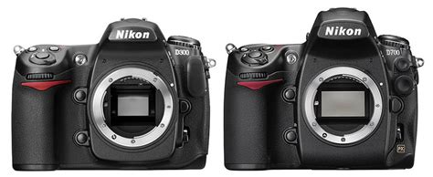 Nikon DX vs FX | TNOnline