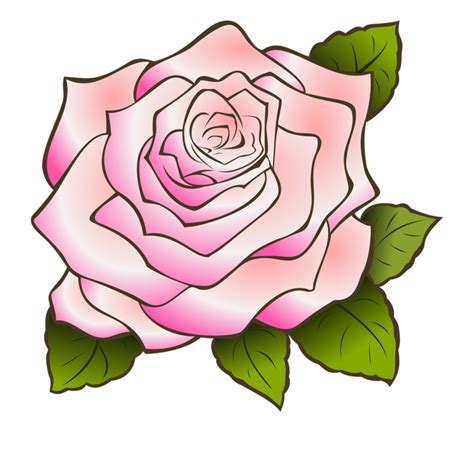 Pink Flower Drawing | Free download on ClipArtMag