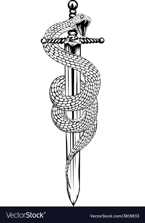 Sword snake Royalty Free Vector Image - VectorStock