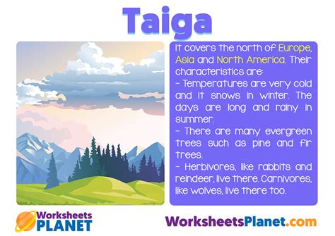 Taiga Ecosystem