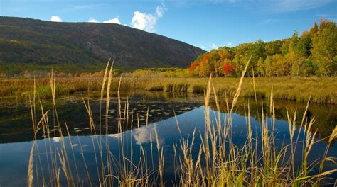 Acadia National Park in Maine | Expedia.co.uk